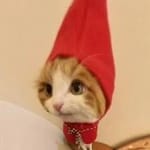 Mauricio Calderón avatar